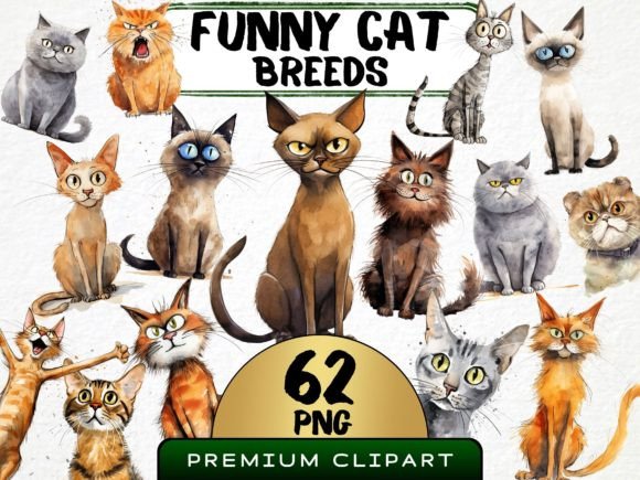 Download Funny Cat Breeds Clipart Bundle - Funny Collection